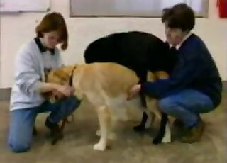 Outdoor porno movie with passionate fucking