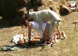 Outdoor blowjob session with a kinky lady