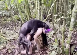 To show what she is missing out on with her dog