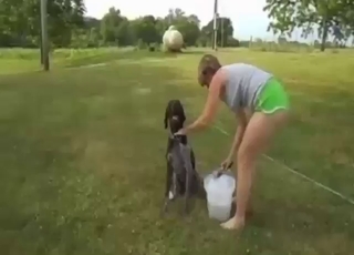 Outdoor zoo XXX with a dog fucking that pussy