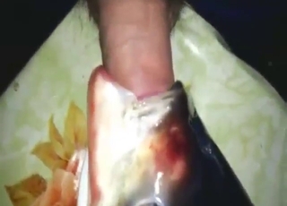 Sexy fish is going to get fucked orally today