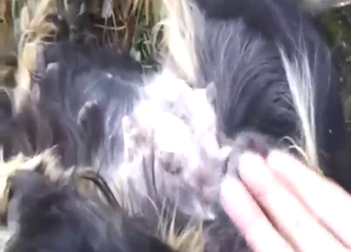 Outdoor bestiality sex with plenty of finger play