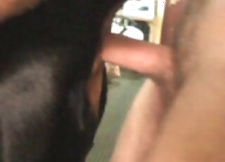 Close-up action with a dog