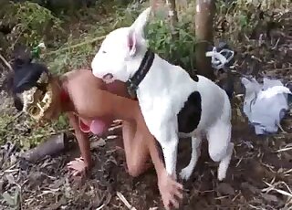 Good outdoor dog porn with a very nice chubby brunette