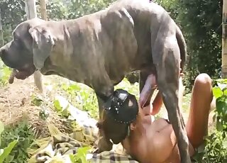 Sensual outdoor zoo porn session with a good doggy
