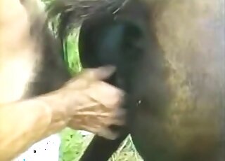 Awesome hardcore outdoor farm sex with a submissive animal