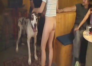 Sweet and intensive bestiality amateur sex looks great