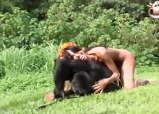 Nasty outdoor bestiality with a trained monkey